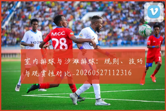 室内排球与沙滩排球：规则、技巧与观赏性对比_20260527112316