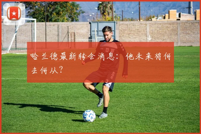 哈兰德最新转会消息:他未来将何去何从?